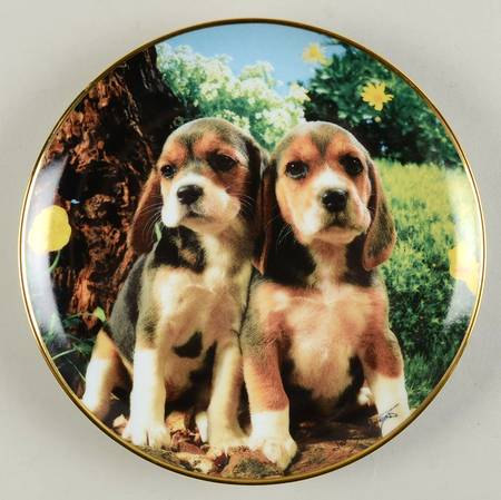 Beagles-Larry Grant Beagels & Buttercups - No Box
