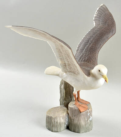 Scott Woolever Birds The Great Black-Backed Gull - No Box