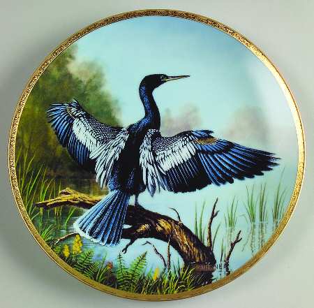 Elegant Birds The Anhinga - No Box