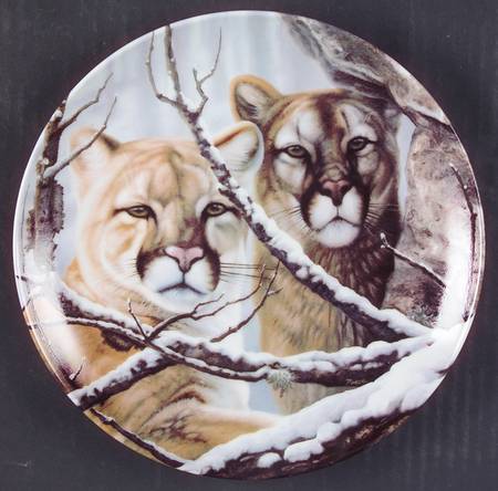 Eyes of The Wild Eyes Of Gold - No Box