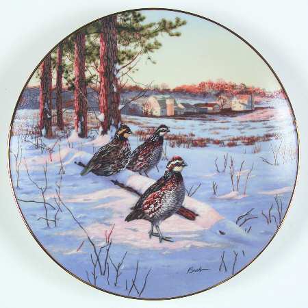 Field Birds of North America Bobwhite Quail - Boxed