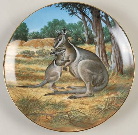 Last of Their Kind; Endangered Species Bridled Wallaby - Boxed