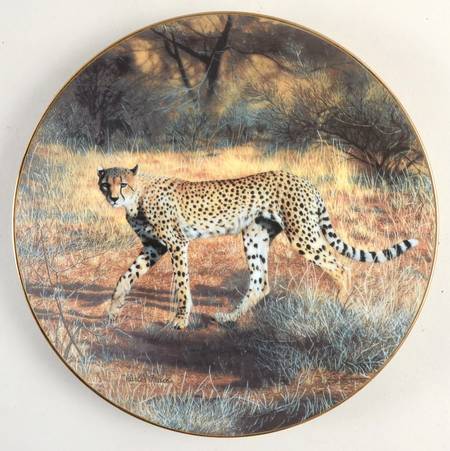 Worlds Most Magnificent Cats The Cheetah - No Box
