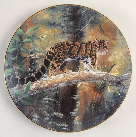 Worlds Most Magnificent Cats The Clouded Leopard - No Box