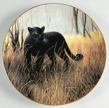 Worlds Most Magnificent Cats Powerful Presence - Boxed