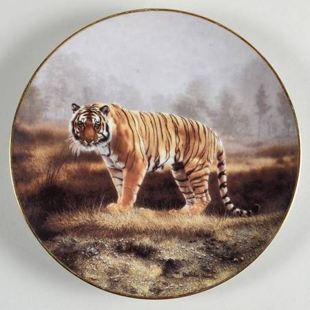 Worlds Most Magnificent Cats Royal Bengal - Boxed