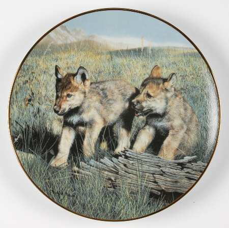 Nature's Playmates Pals - Boxed