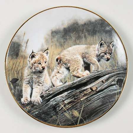 Nature's Playmates Double Trouble - Boxed