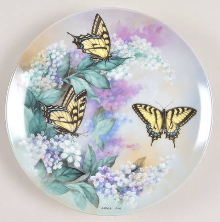 On Gossamer Wings Western Tiger Swallowtails - Boxed