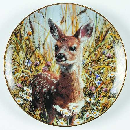 Our Woodland Friends A Jump Into Life: Spring Fawn - Boxed