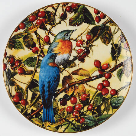 Portrait of Exquisite Birds The Beautiful Bluebird - Boxed