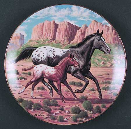 Purebred Horses of America The Appaloosa - With Box