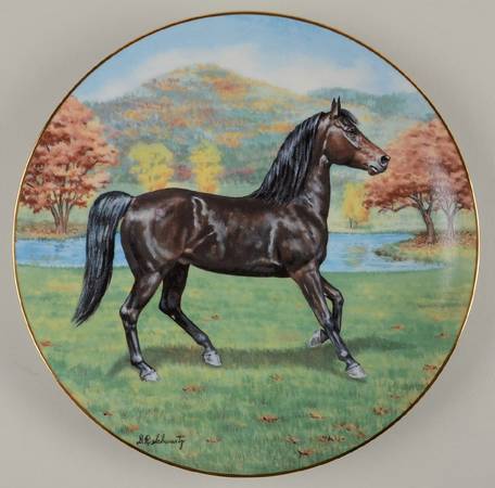 Purebred Horses of America The Morgan - Boxed