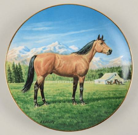 Purebred Horses of America The Quarterhorse - Boxed