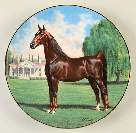 Purebred Horses of America The Saddlebred - Boxed
