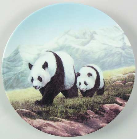Secret World Ofthe Panda A Day Of Exploring - Boxed