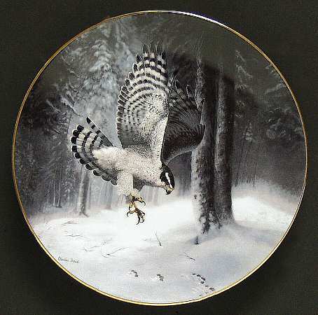 Soaring Majesty The Northern Goshawk - Boxed