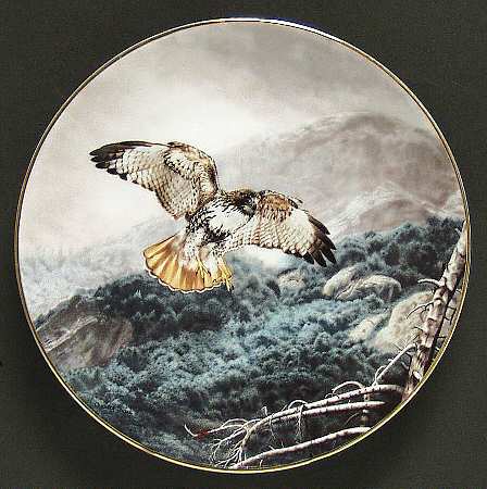 Soaring Majesty Red-Tailed Hawk - Boxed