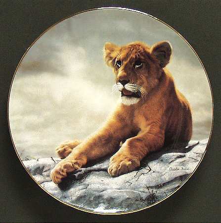 Wild Innocence Lion Cub - No Box
