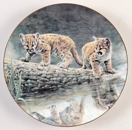 Wild Innocence Reflections - No Box