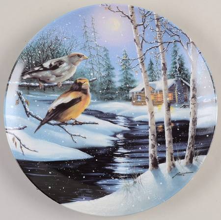 Wings of Winter Night Lights - No Box