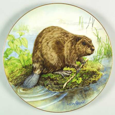 North American Wildlife Beaver - No Box