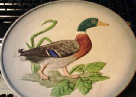 Wildlife Mallard - Boxed
