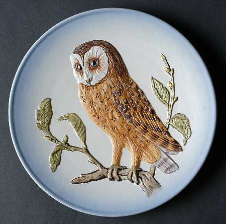 Wildlife Barn Owl - Boxed