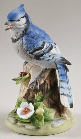 Gallery Birds Blue Jay On Flower - With Box