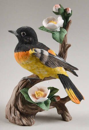 Gallery Birds Oriole On Flower  - No Box