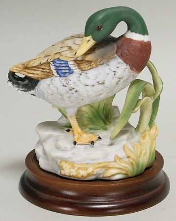 Gallery Birds Mallard  - No Box