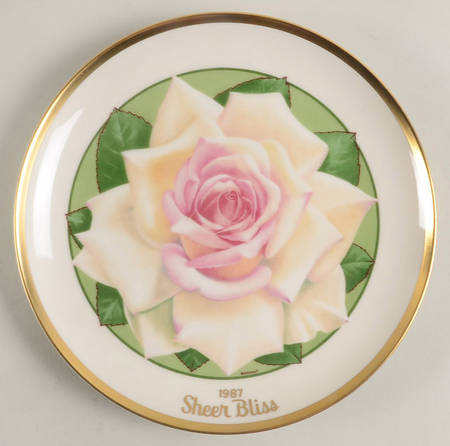 All American Rose Sheer Bliss Rose - No Box
