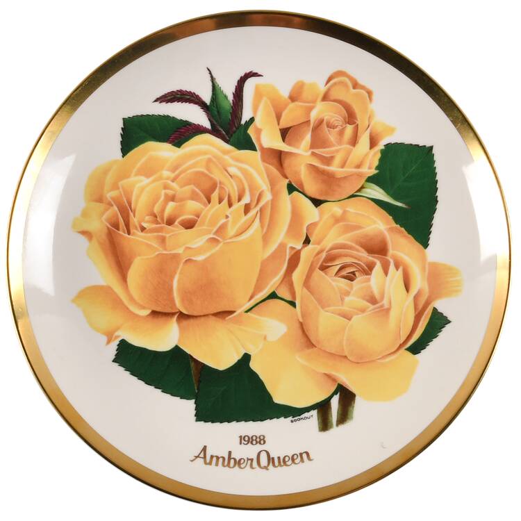 All American Rose Amber Queen Rose - No Box