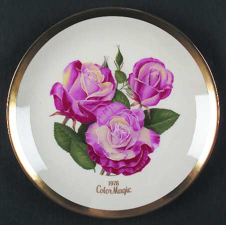 All American Rose Color Magic - No Box