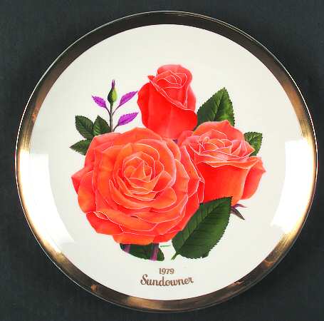 All American Rose Sundowner - No Box