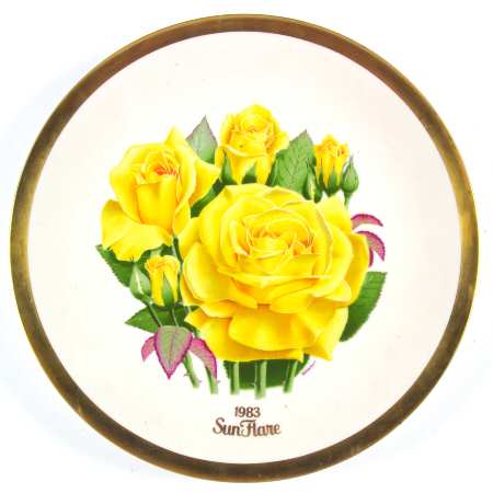 All American Rose Sun Flare - Boxed