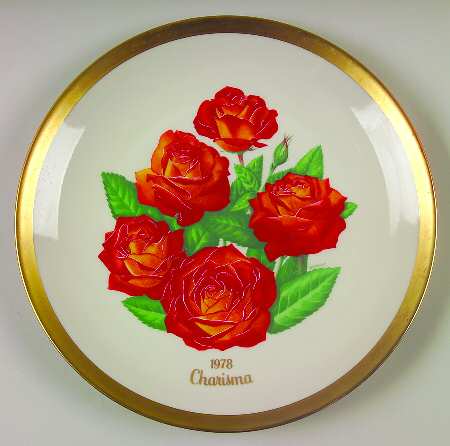 All American Rose Charisma - No Box