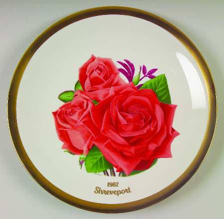 All American Rose Shreveport - No Box