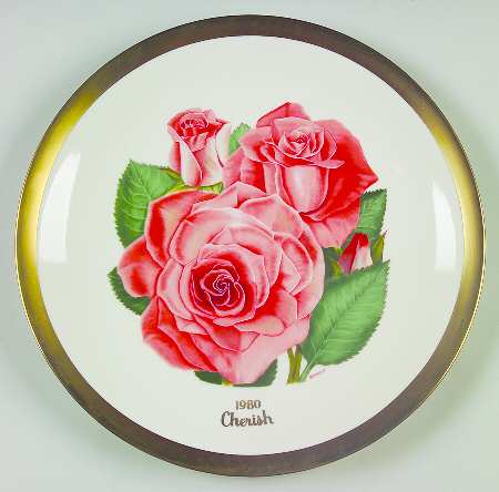 All American Rose Cherish - Boxed
