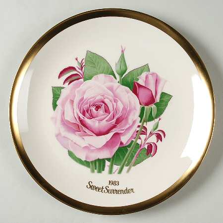 All American Rose Sweet Surrender - Boxed