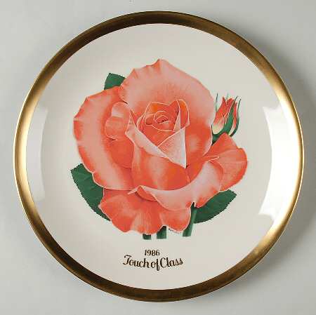 All American Rose Touch Of Class - Boxed