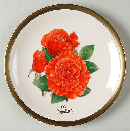 All American Rose Impatient - No Box