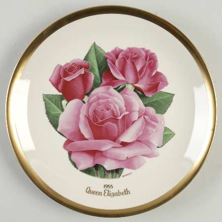 All American Rose Queen Elizabeth - Boxed