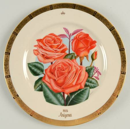 All American Rose Arizona - No Box