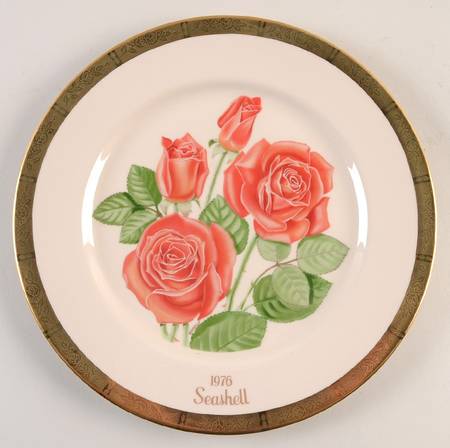 All American Rose Seashell - No Box