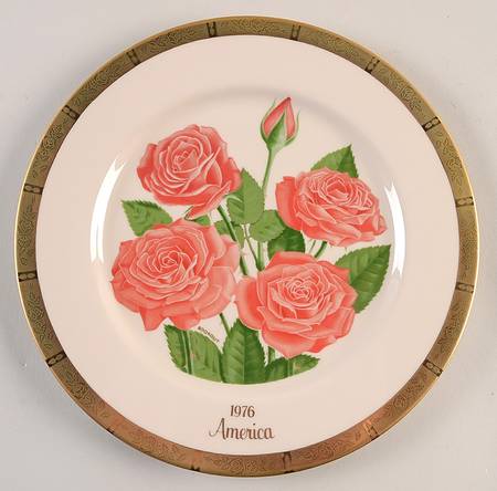 All American Rose America - No Box