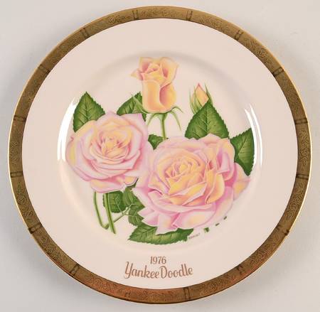 All American Rose Yankee Doodle - No Box