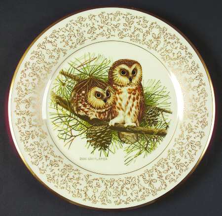 Whitlatch Birds Saw Whet Owls - No Box