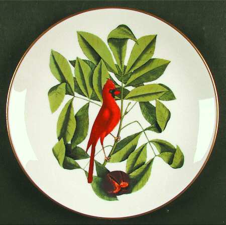 Catesby Collection Cardinal - With Box