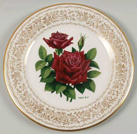 Rose of The Year Masterpiece - No Box